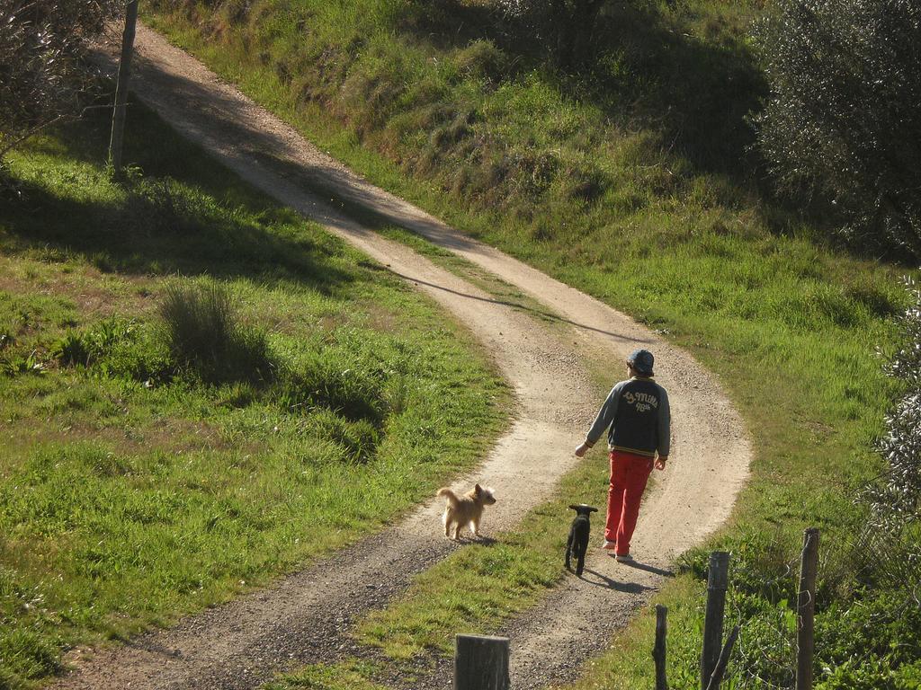 Monte Da Courela Malarranha Ngoại thất bức ảnh